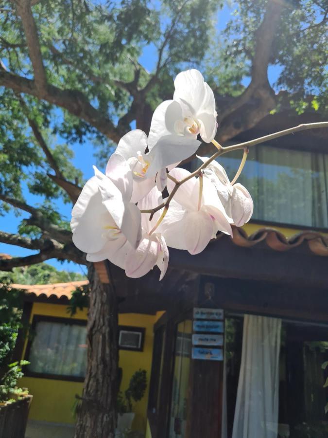 Casa na Ferradura Buzios Búzios Exterior foto